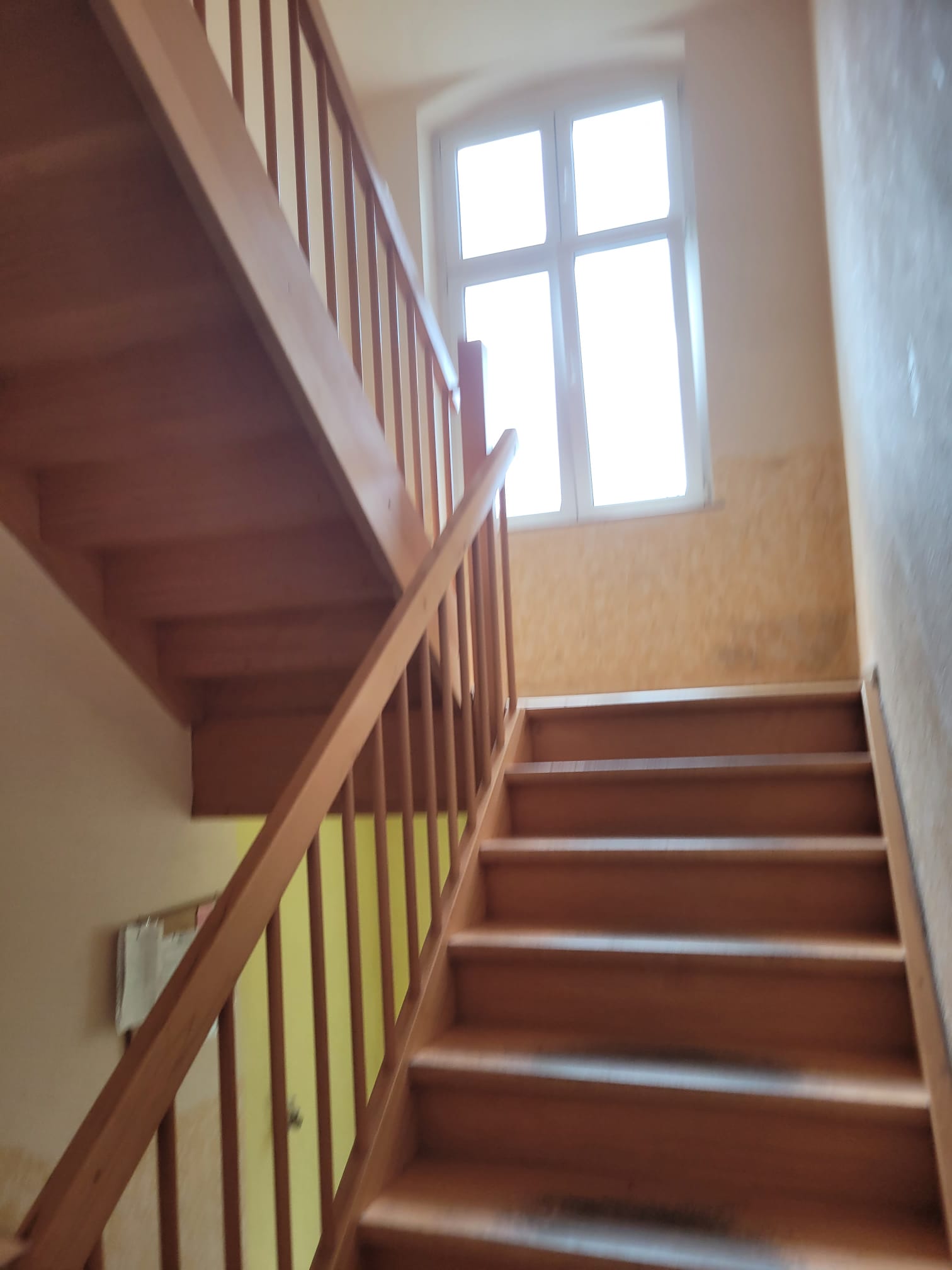 Süsse Dachwohnung 2 Zimmer ca. 45 qm mit Stellplatz im gepflegten 8 Fam.-haus in Dessau Nord — Vorschaubild 11