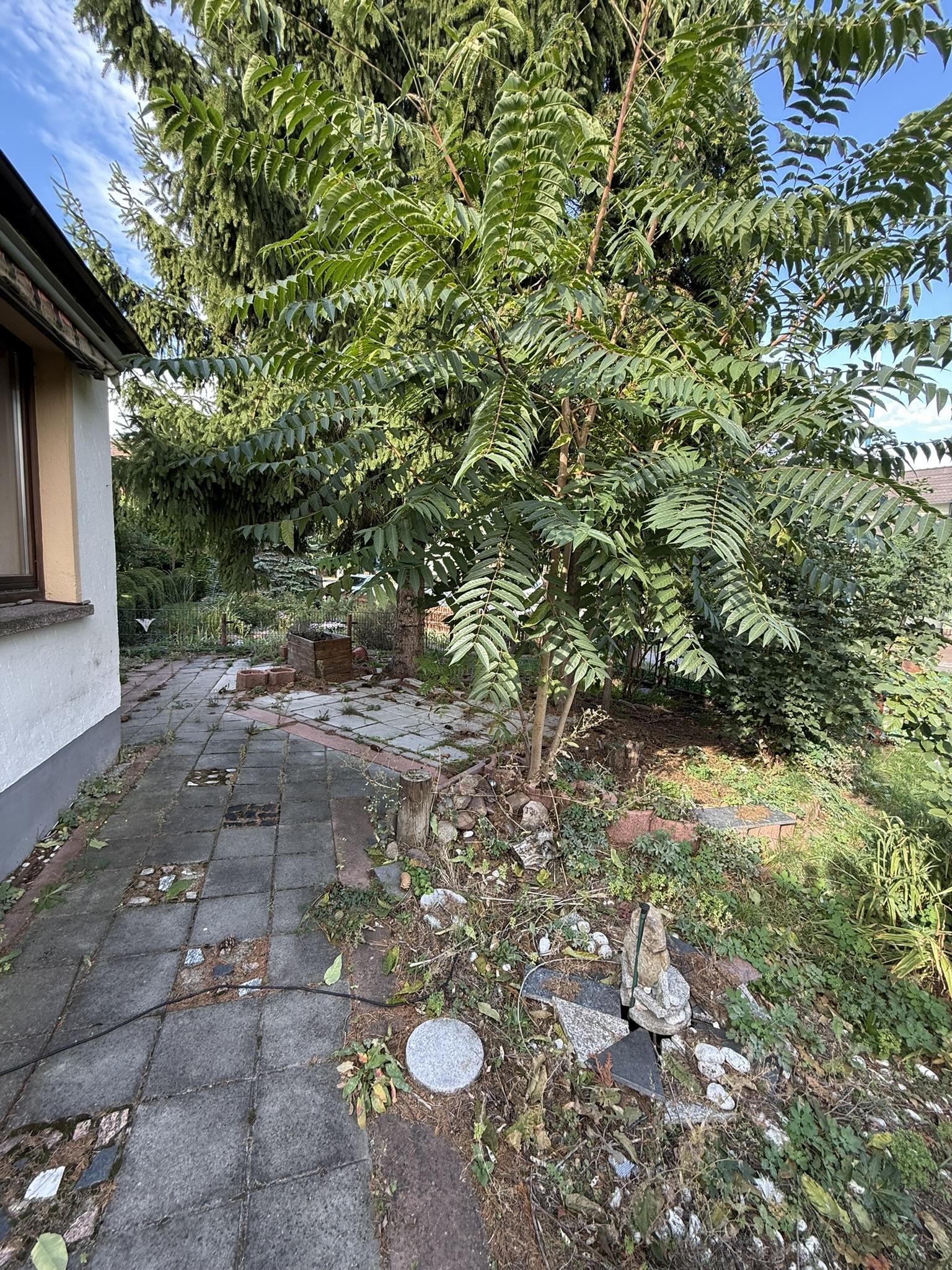 Freistehendes Einfamilienhaus mit neu ausgebautem Dachgeschoss, Vollkeller, Doppelgarage und großzügigem Grundstück — Vorschaubild 10