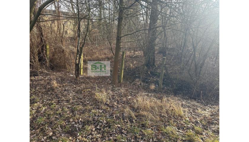 Großes Grundstück in Holzweissig 3700qm – nahe dem Bitterfelder Bogen/Stadion — Vorschaubild 4