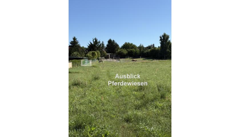 Verkauft  Freistehendes EFH nahe Muldestausee in Schlaitz