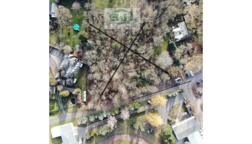 Großes Grundstück in Holzweissig 3700qm – nahe dem Bitterfelder Bogen/Stadion — Vorschaubild 5