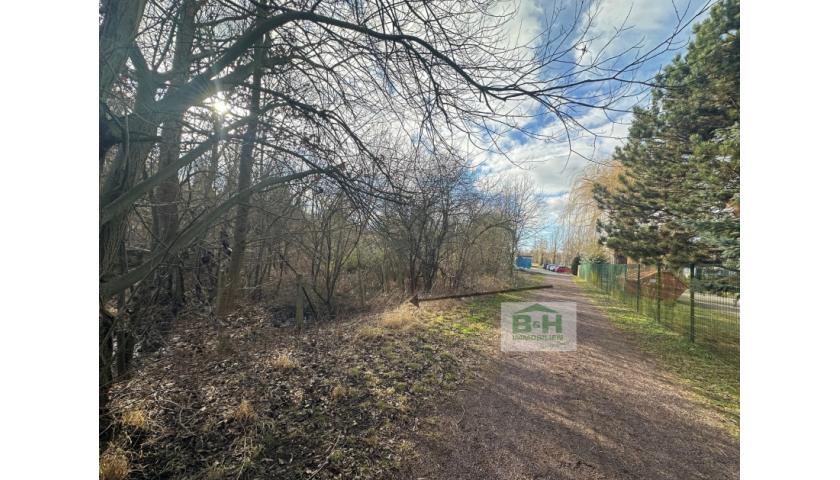 Großes Grundstück in Holzweissig 3700qm – nahe dem Bitterfelder Bogen/Stadion — Vorschaubild 8